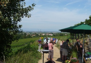 Weinwanderung am Castellberg.jpg