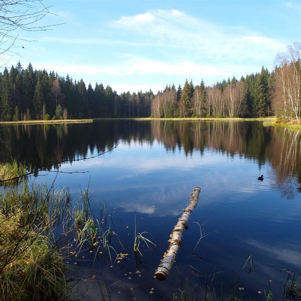 Vogtlandsee