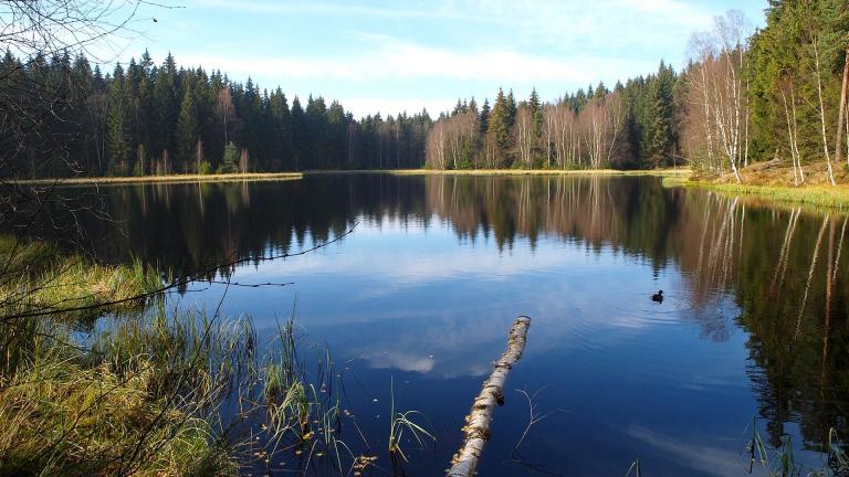 Vogtlandsee