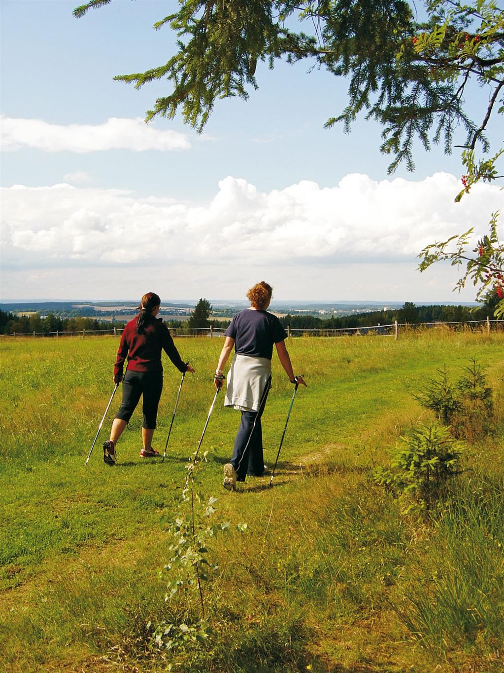 Nordic Walking