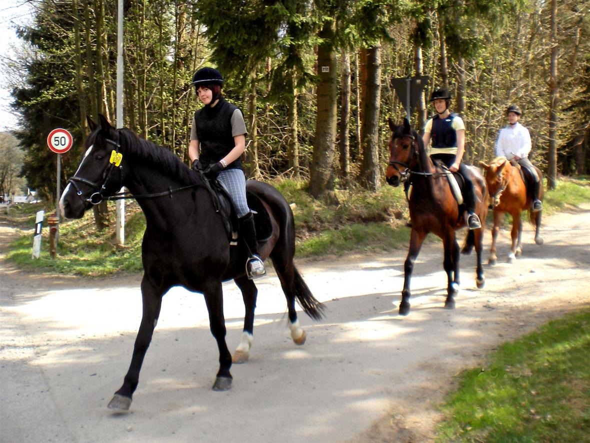 Reiten