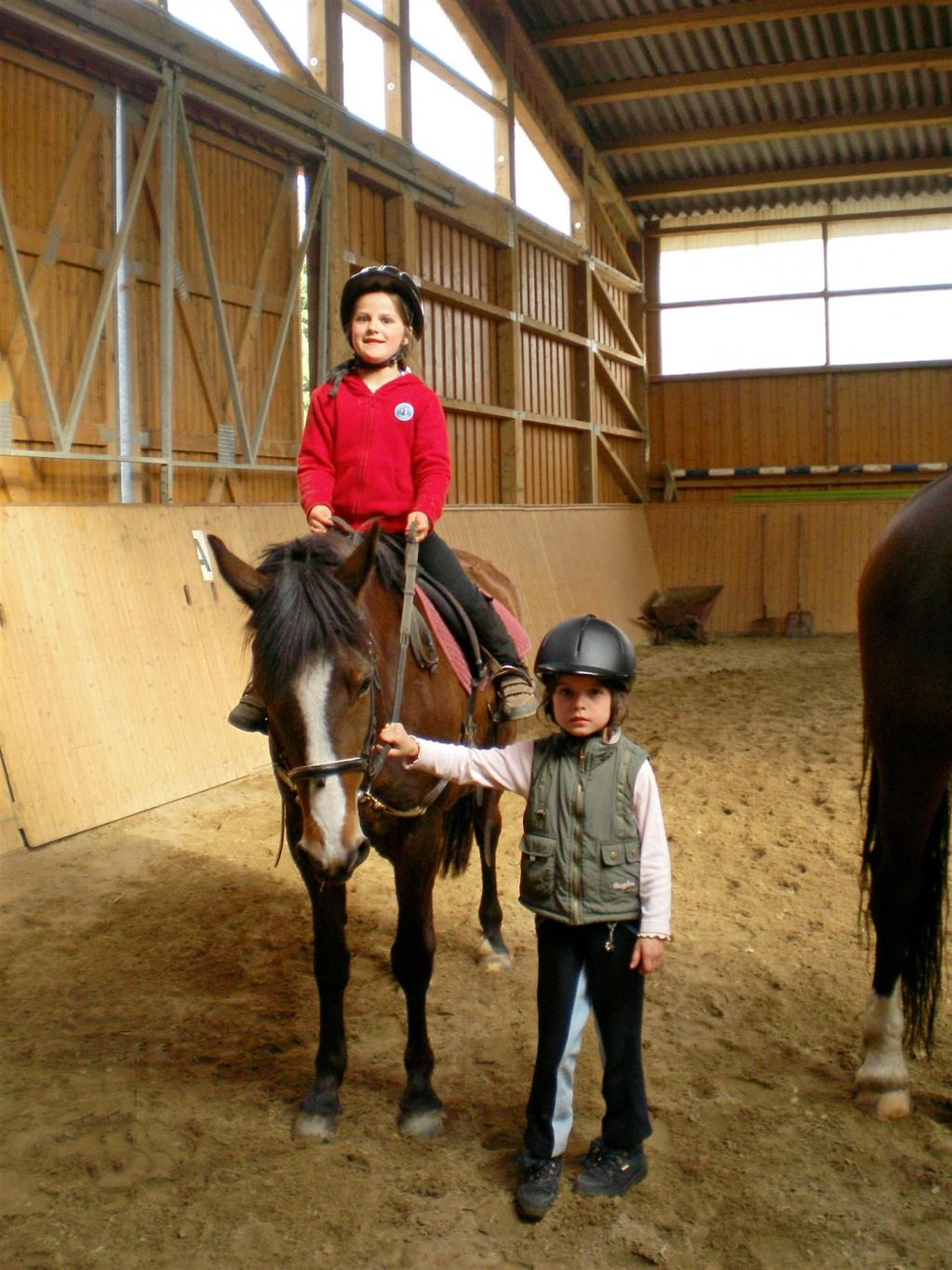 Reiten