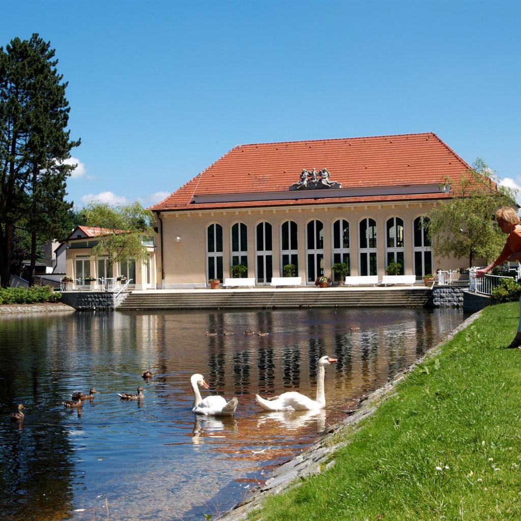 Bad Brambach
