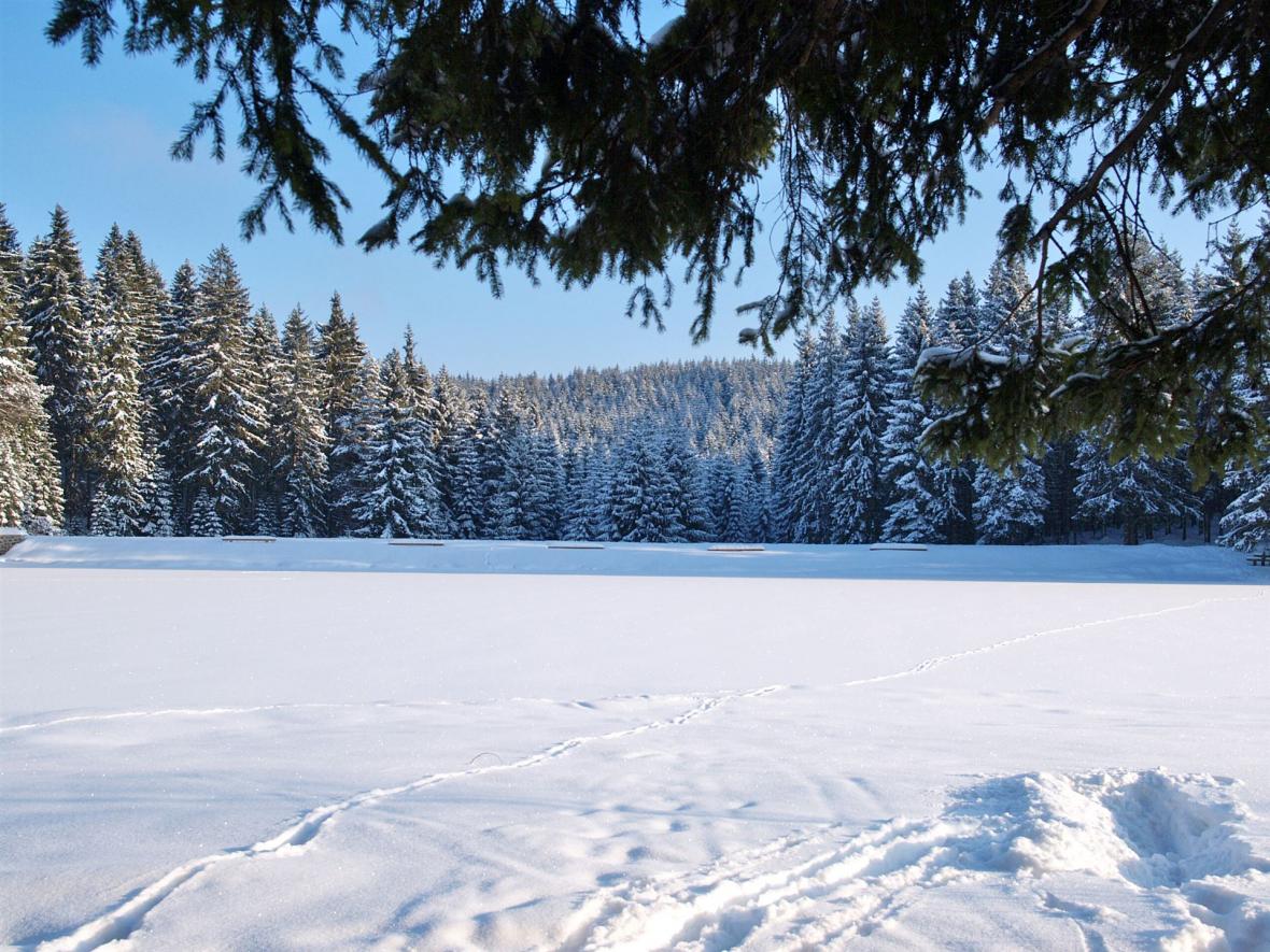 Vogtlandsee