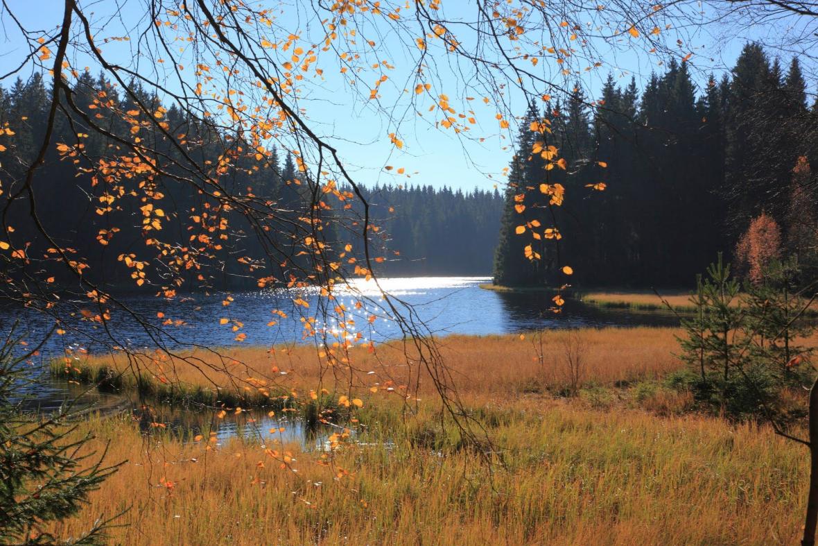Vogtlandsee